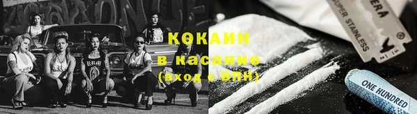 стафф Алзамай