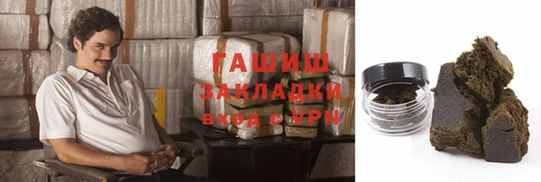 хмурый Алексин