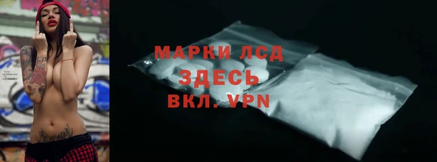 хмурый Алексин