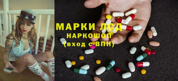 хмурый Алексин