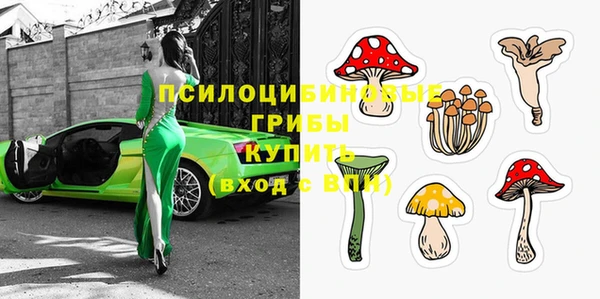 стафф Алзамай