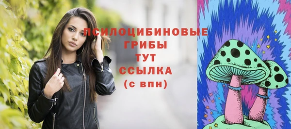 прущие грибы Алексеевка