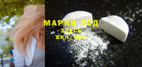 стафф Алзамай