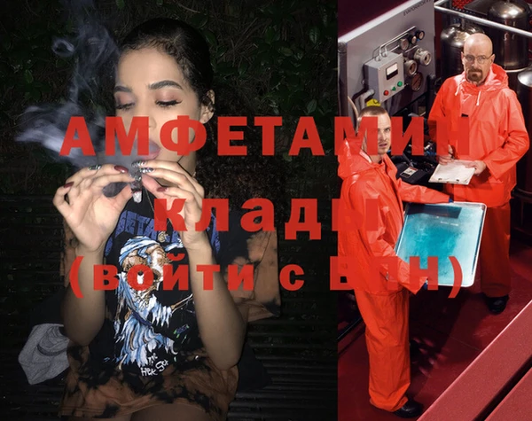 стафф Алзамай