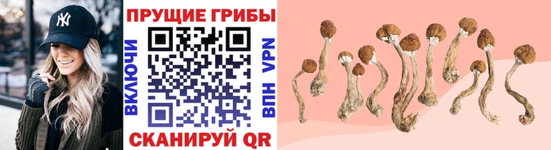 Галлюциногенные грибы GOLDEN TEACHER  Красноармейск 